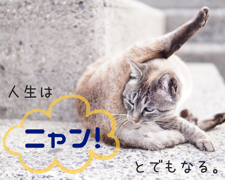 ゲイ タグの記事一覧 人生は ニャン とでもなる ゲイ タグの記事一覧 人生は ニャン とでもなる